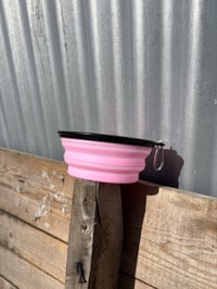 Image 4 of Dog Bowls