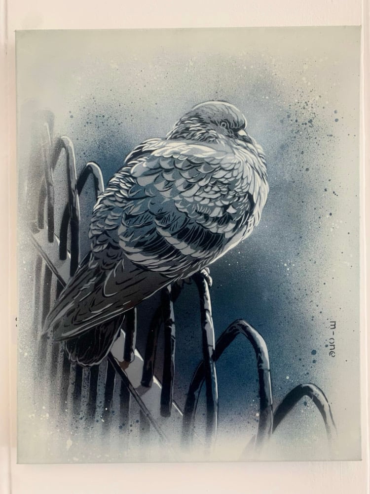 Image of Park Pigeon