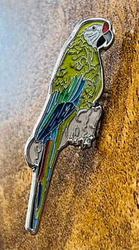 Image 2 of Great Green Macaw Pin Badge - Macaws - Neotropical Birding and Conservation