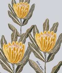 Image 1 of ‘Sunny Proteas’ Print