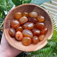 Carnelian Tumbles