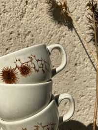 Image 5 of Les tasses chardon