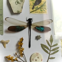 Image 2 of trinket frame #2