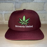 Leaf SnapBack cap
