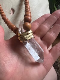 Image 4 of XL CLEAR COLOMBIAN LEMURIAN MEGA FATTY