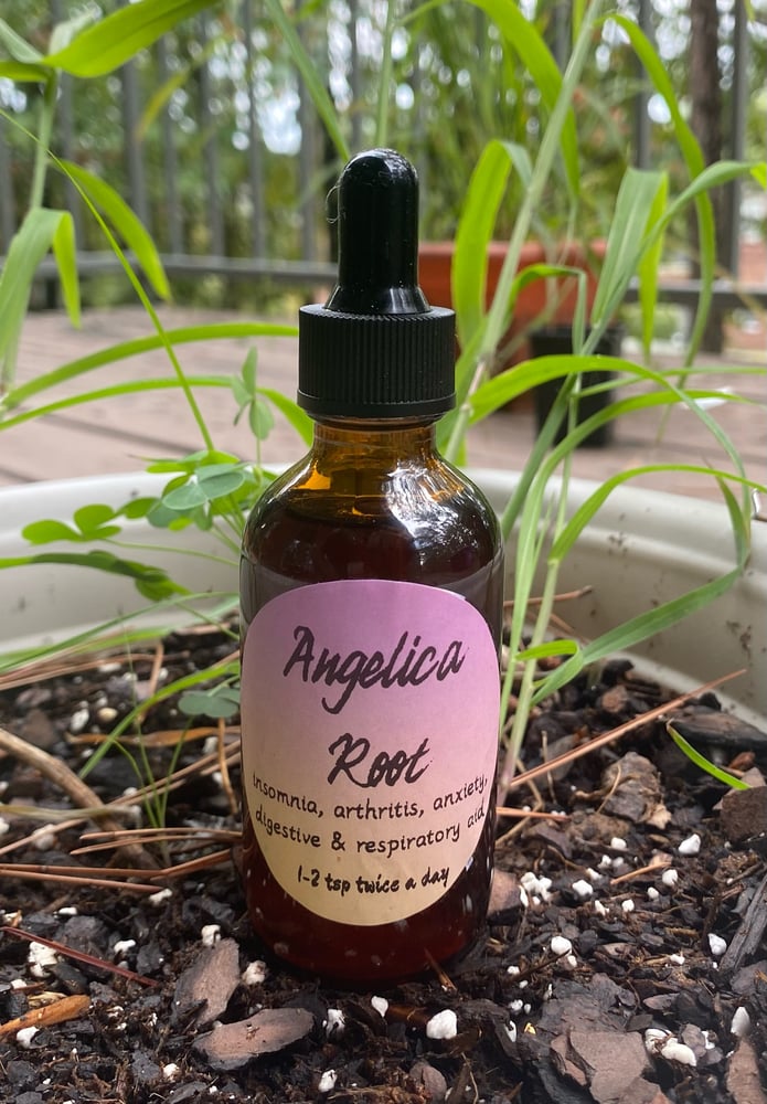 Image of Angelica Root tincture 