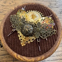 Image 4 of Dried flower beetle (b, 3.5  inches)