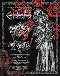 Flaming Ouroboros Live Performances