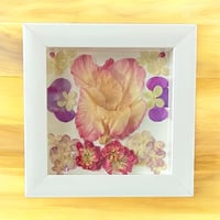 Image 3 of Gladiolus, Hydrangea, Stock Flower & Geranium in 6" X 6" Shadow Box (Item# 202401S)