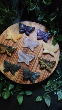 Image 2 of Small Crystal Butterfly