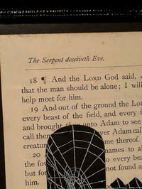 Image 4 of "Original Sin" 1800s Bible Page & Preseved Web 