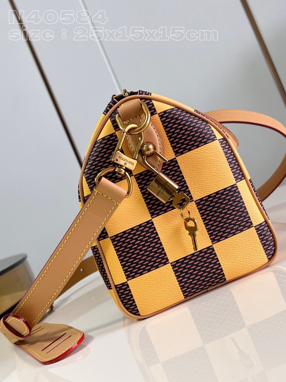 LV Leather Damier Bag