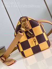 Image 19 of LV Leather Damier Bag
