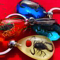 Image 3 of Scorpion Teardrop Keychain 