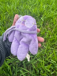 Image 3 of Ditto Bloog