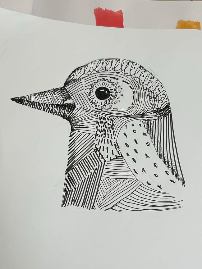 Illustration Workshops - 4 sessions 