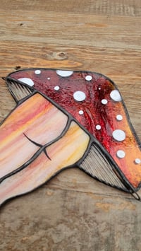 Image 5 of Mushroom bum 2