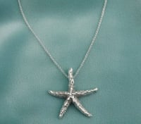 Colgante estrella marina de plata