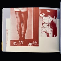 Image 9 of Toshiharu Ito 'Biological Ruins Theory'