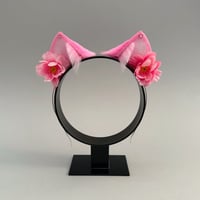 Image 1 of Pink Blossom Kitten