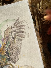 Image 3 of Print Aigle 