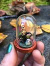 Harvest Mouse Miniature World