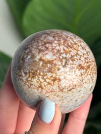 Image 2 of SEA JASPER SPHERE -MADAGASCAR- J
