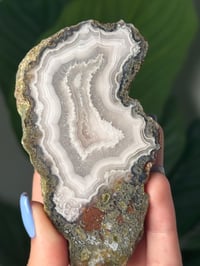 Image 2 of MOSSY INCLUDED WHITE LAGUNA AGATE