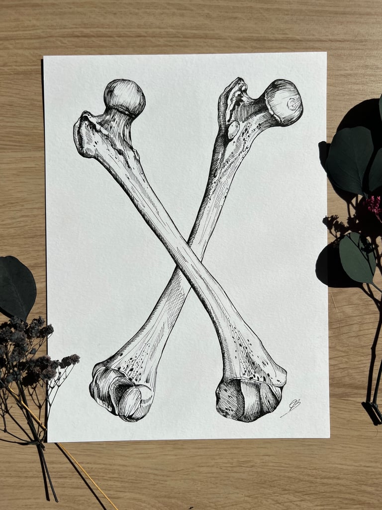 Illustration PRINT « Fémurs » Format A4 