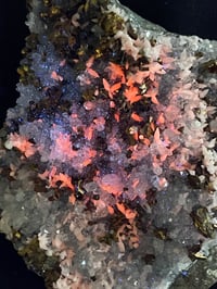 Image 4 of UV Calcite With Chalcopyrite Flakes Specimen #1914 