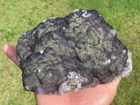 Image 12 of Purple Botryoidal Fluorite With Pyrite Specimen #1468