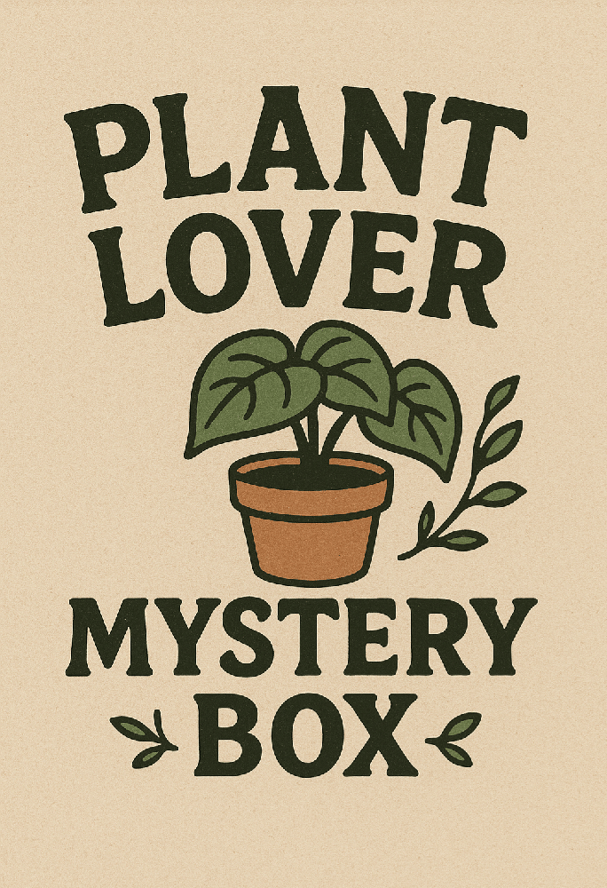 Image of ​Plant Lover Mystery Box - Handmade Planters & Botanical Accessories ($50+ Value)