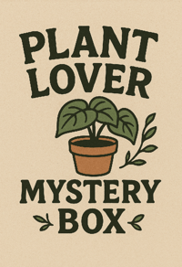 ​Plant Lover Mystery Box - Handmade Planters & Botanical Accessories 