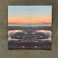 Image 4 of THE CORAL VINES "Elibrion Waves" #ISR VINYL EDITION