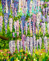 Image 4 of Wisteria 