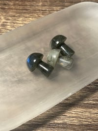 Labradorite mushrooms 