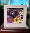 Plum Hollyhock, Mum, Cosmo, Rudbeckia & Stock Flower- In 6" X 6" Shadow Box (Item# 202310S)