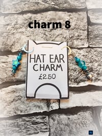 Image 17 of Ed's hats and charms