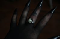 Image 4 of Dead Good snail shell ring 2