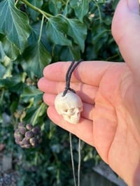 Image 1 of Fallow antler Skull pendant 