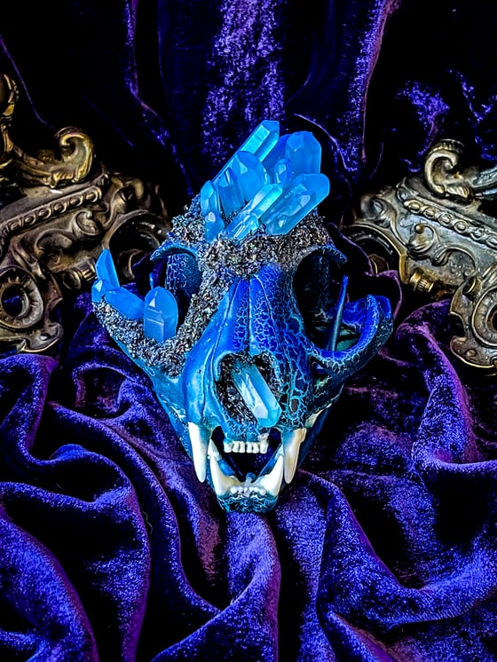 Image of UV Luminescent, Blue Aura Quartz & Carborundum - Bobcat Skull.
