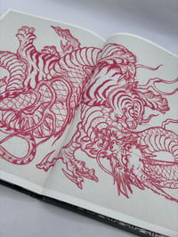 Image 6 of Tiger Studies By Florencio Rojas
