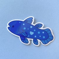 Image 1 of Coelacanth Sticker