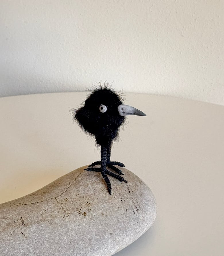 Image of Very Tiny Raven Baby #2