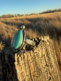 Image 7 of The High Prairie Sky