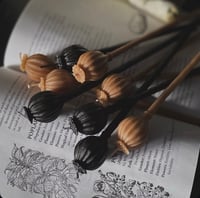 Image 1 of Poppy Head Candle