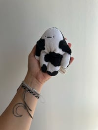 Image 2 of Mini Cow Bloog