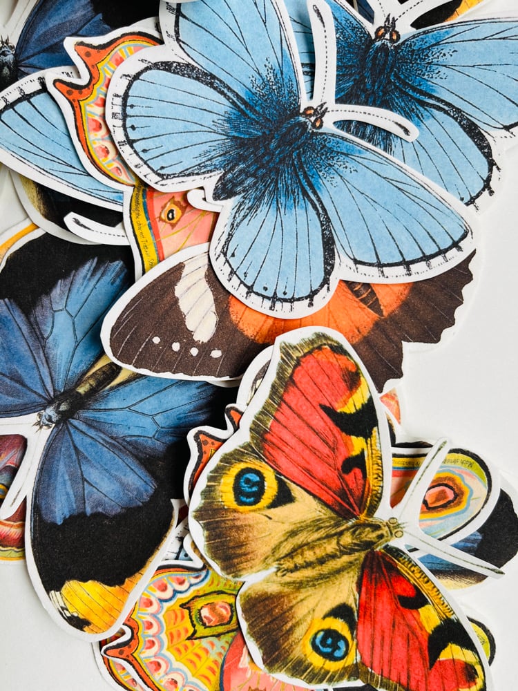 Image of 20 PAPILLONS