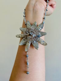 Image 6 of 🪩Disco Passiflora🪩