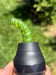 Image of Core Mouthpieces 2 *Five Listings*